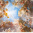 @INYOURPRESENCE399 Avatar