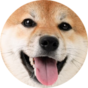 뚱땅뚱땅 밤톨밤빵