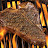 @PorterHouse-Steak Avatar