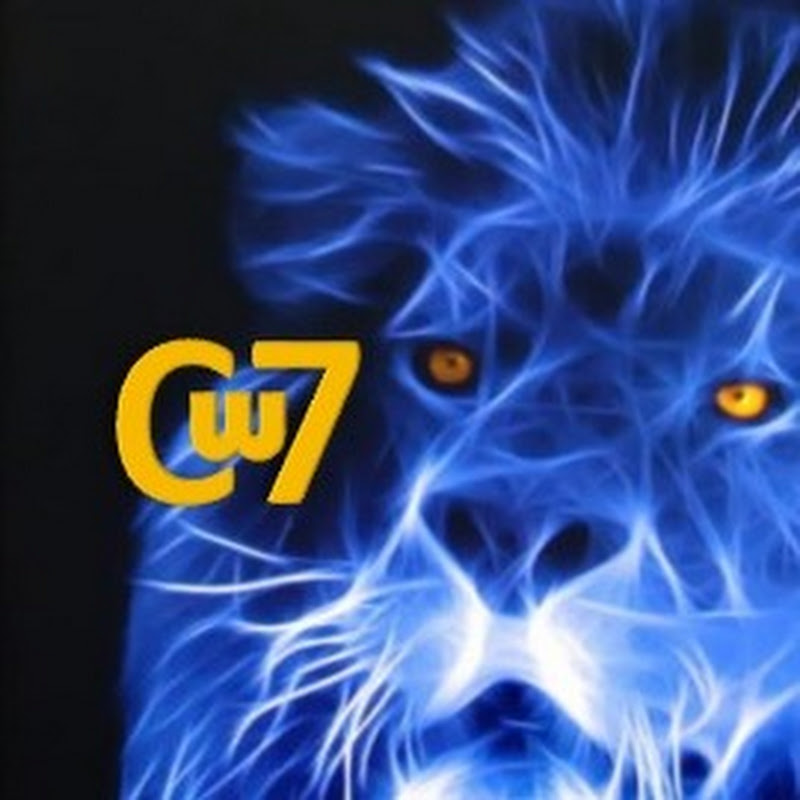 WCAICA7
