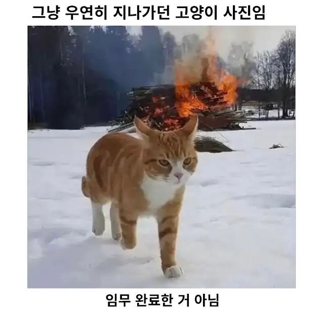 BlockNote image