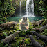 eq0hjmv-f1Y-channel-avatar-BlackCrocodileDundee