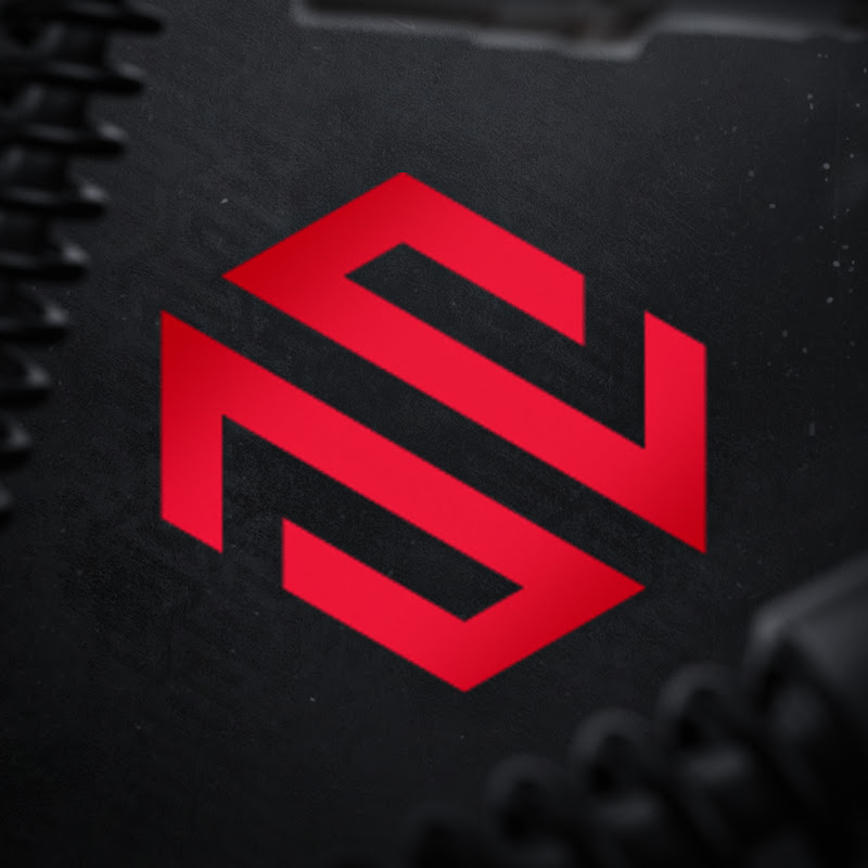 NS Service - Автосервис, которому доверяют Logo