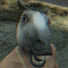 Ajj25adHepQ-channel-avatar-frantikFK