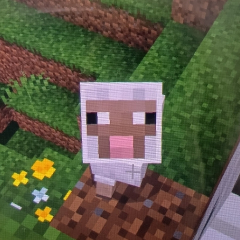 桃雲そぷら(グループ)