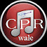 uXvoE8BC2AM-channel-avatar-CPR wale