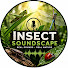 nG6vA9ZBhgc-channel-avatar-Insect Soundscape