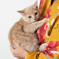 tomo