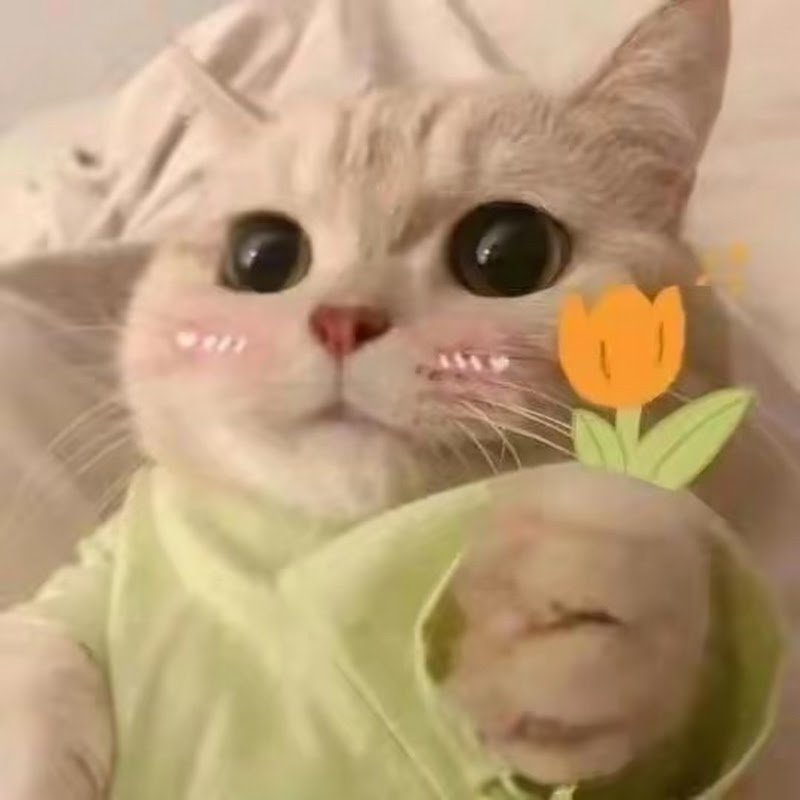 咪咪爱看小说 Logo