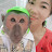 FUNNY ANIMALS ABU
