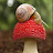 @Snail.Mushroom