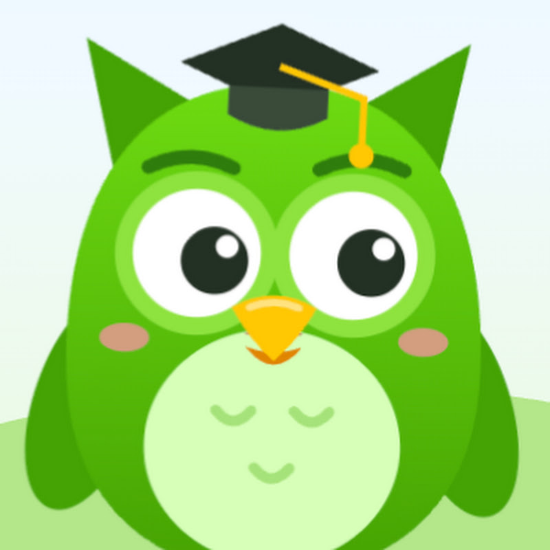 The Brainy Owl
