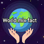 world mix fact logo