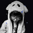 LRhD6QJBDTA-channel-avatar-kiysu 