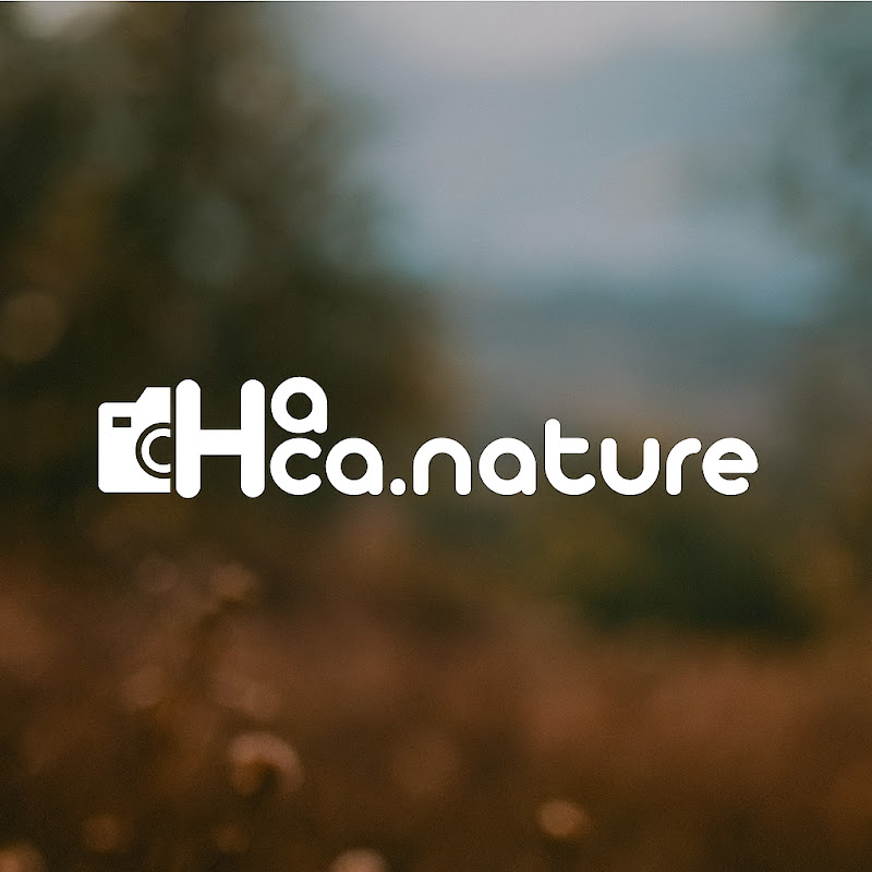Hacha Nature