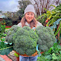 Sandra Urbangarden Avatar