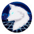 dVcdsdFfoNA-channel-avatar-Cityfounder Gaming