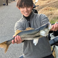 釣りゾウアイコン画像
