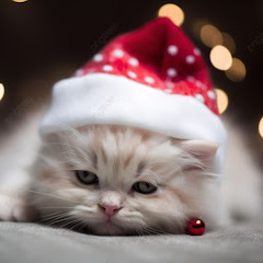 朗読ニャンすけ