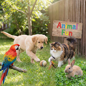 Animal Funny