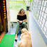 ZGKPCQDw6ZY-channel-avatar-Daksha Gowda