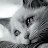 @هدىالجمعه-خ1ك4ص