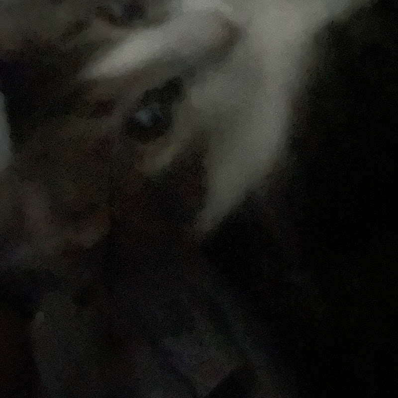 Carlos