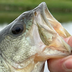 JMfishing