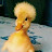 الصورة الرمزية لـ @HSS18_18