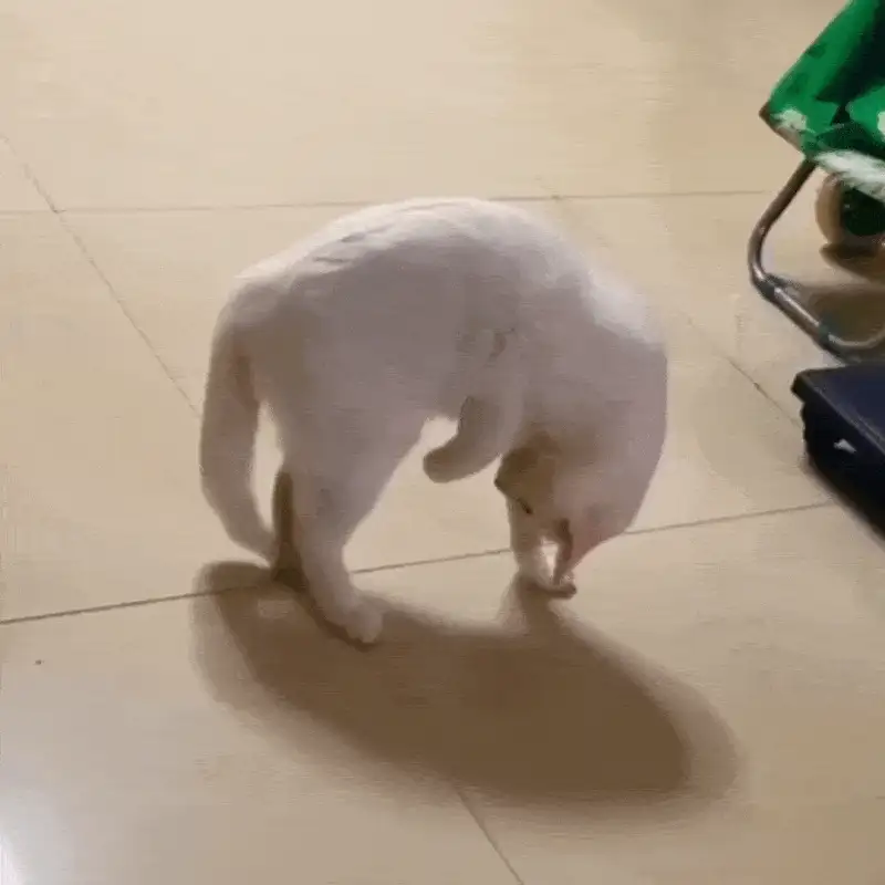 pf8qWemaNjMd3gUQOS0bxg-uqGJW_uUq5zyPQnHP