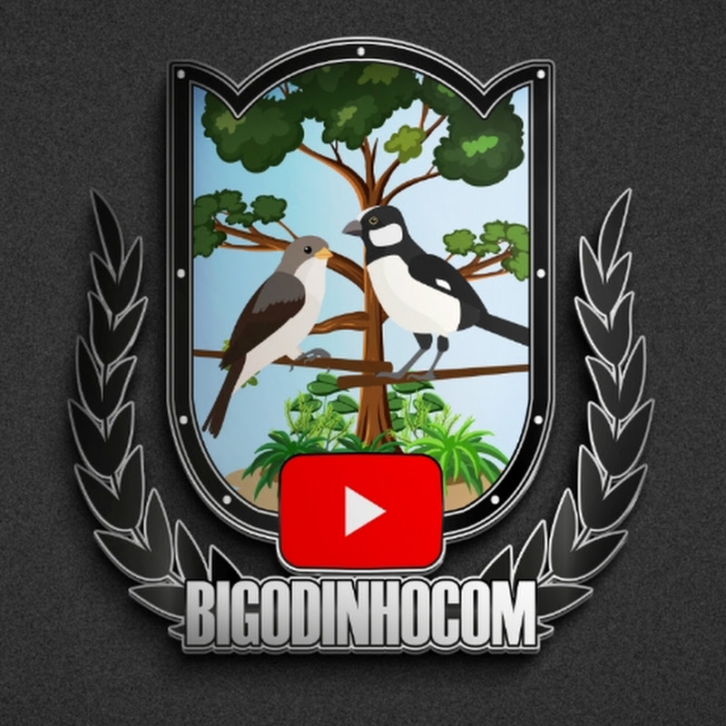 BIGODINHOCOM