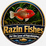 msu3uv-fimE-channel-avatar-Razin Fishes (Scotty)