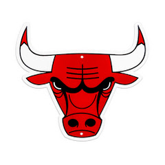 Chicago Bulls Fan