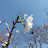 @TV-zs3kz