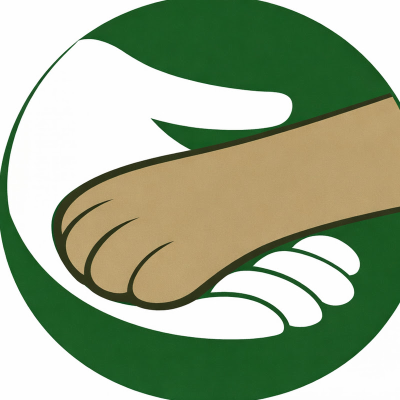 동물 구조 하이라이트