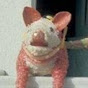 Pig Bodine Avatar