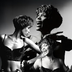 The Whitney Houston Platinum Club