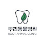 동물치과 뿌리동물병원