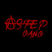 ASTEP GANG