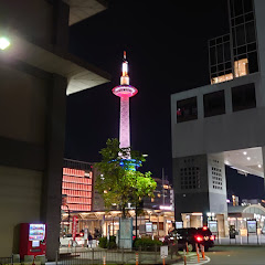 ハコリュウの秘密基地