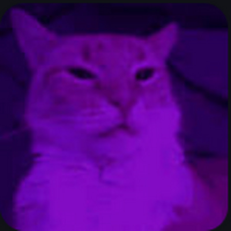 Hire 𝐻𝓏𝓇𝒹 — Pets & Animals YouTube creator for sponsorships