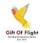 Gift Of Flight
