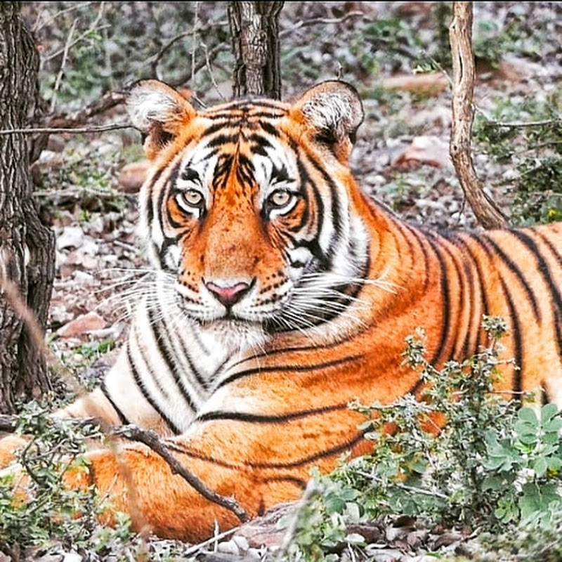 ONE MILE AT A TIME....