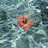 @E_elaf8