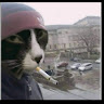 Автор