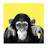 @davideverett2's avatar