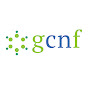 Global Child Nutrition Foundation logo