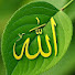sxw5AJxjNTw-channel-avatar-Fajar Rabbani
