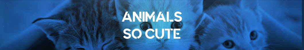 Animals Soo Cute Avatar del canal de YouTube