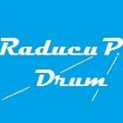 Raducu P Drum net worth